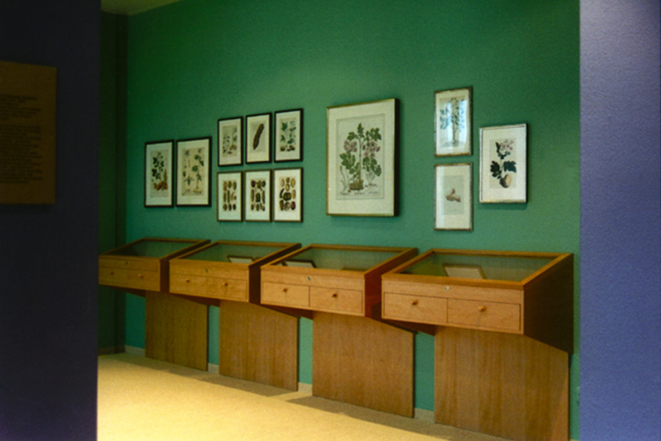 kartoffelmuseum1